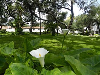 Hacienda Taboada 4* El Santuario
